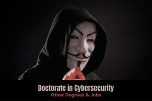 Doctorate in Cybersecurity: Degrees, Jobs and Global Impact