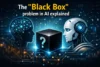 Black Box Problem in AI explained - Post Thumbnail